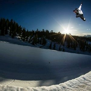 Meet your Posher, Joey